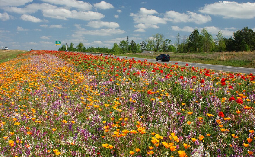 giveashitnature tweet picture