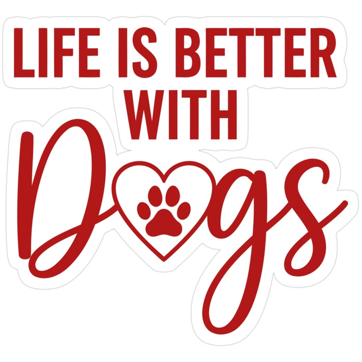 sandraKnotyprox's tweet photo. hot Ask for my menu

https://t.co/FpzxyPAhwX

Zangi 5602643184

#K9 #Zoogirl #Blonde #Reviews #Anal #Dogbitch #Menu #StartupGrowth
#Regular #Premium #New
#zoophillia #zoosarevalid
#dogknot #zooprideisvalid
#zoophile #hypnotistzoophilesarevalid
#zoophiletwt #zootwt #zoopositivity https://t.co/qwpbBfaERm