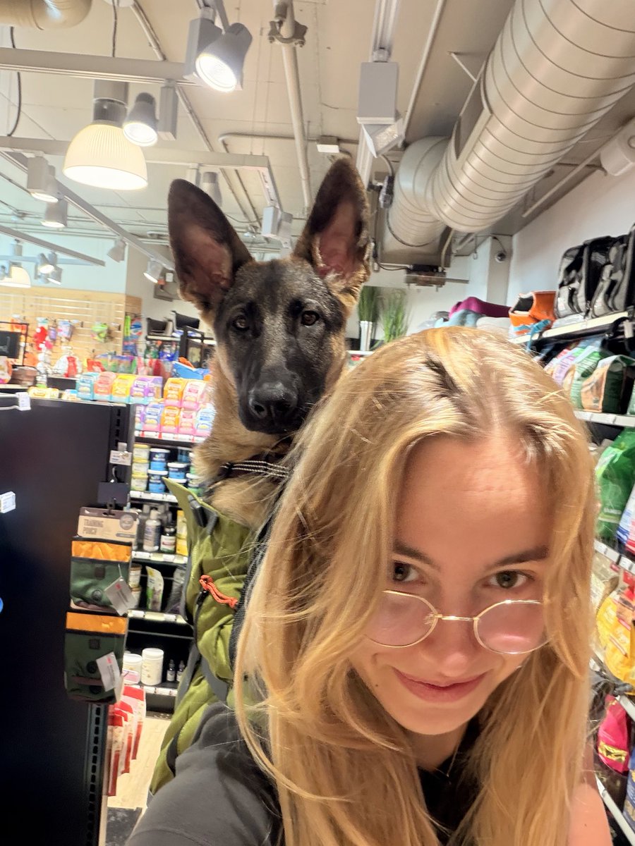 withtenacity's tweet photo. made an important purchase today….dog backpack… backpack for the dog https://t.co/hfTyimgV4k