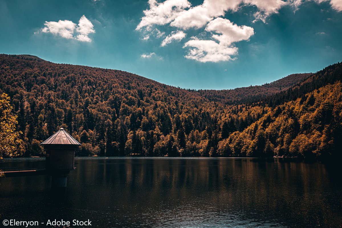 ExploreFranceJP's tweet photo. ⛰️🇫🇷「風船の山」ってどういう意味？

フランス北東部に広がるヴォージュ山脈には、「グラン・バロン（Grand Ballon）」をはじめ、「バロン（Ballon）」と名の付く山がいくつもあります。

実はこの「Ballon」は風船ではなく、丸みを帯びた山頂を表す言葉。そのやさしい稜線は、ヴォージュ山脈ならではの特徴です✨

深い森や湖、なだらかな山並みが広がり、ハイキングやサイクリングを楽しめる人気のエリアでもあります🚶‍♀️🌲

晴れた日には、遠くアルプスの山々まで見渡せることも。

自然に癒やされる旅へ出かけてみませんか？🌿

#ExploreFrance