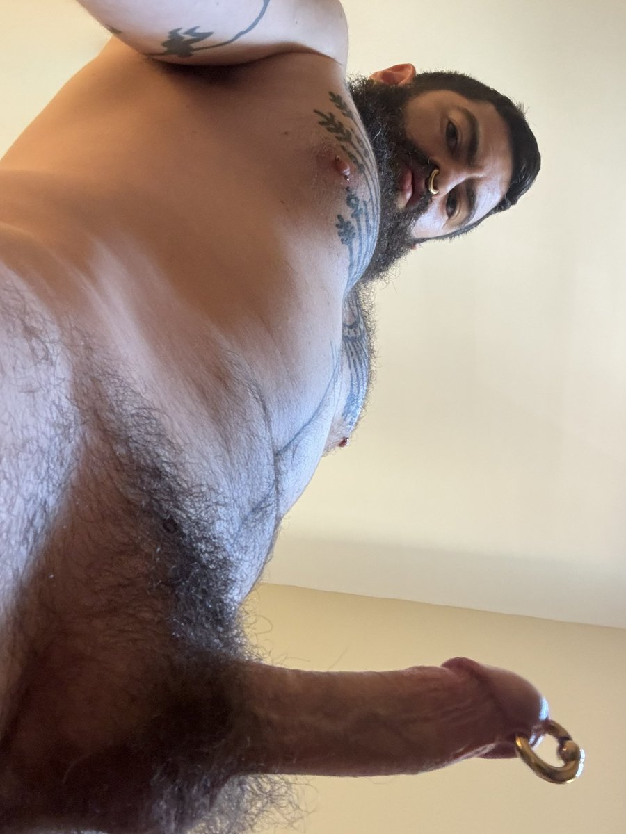 TemperTantric's tweet photo. I’m looking for a good boy. The best even. https://t.co/DAbH5ciOMz