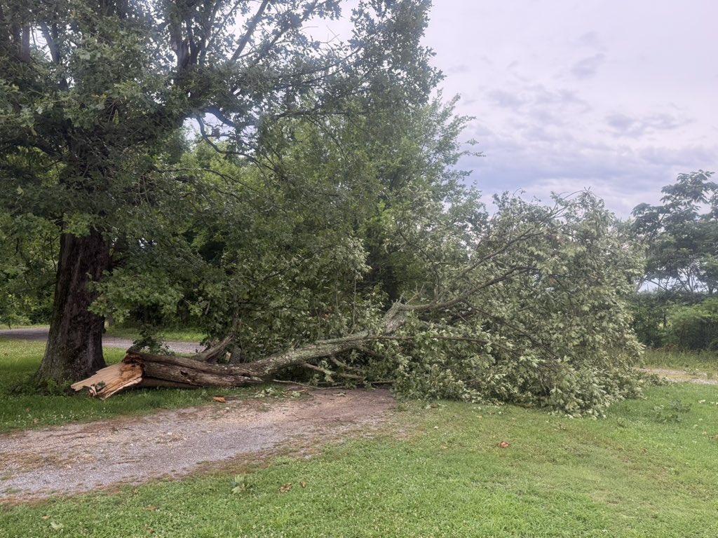 xo_sam00's tweet photo. @JacksonCoAL_EMA tree damage in Pisgah from earlier storms near county road 364 https://t.co/OfNFmPGt1x
