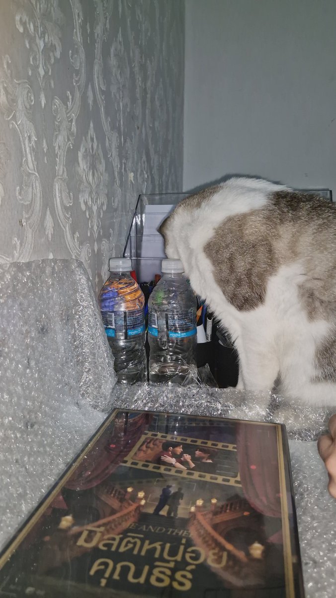 Sigochorando's tweet photo. Foi tudo finalizado pelo divo meow https://t.co/mdWOBUkpxe