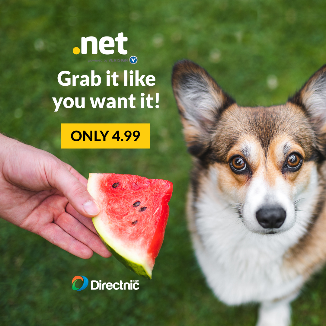 Directnic's tweet photo. When the .NET you want is available... 👀

Get yours today for $4.99 at https://t.co/xvS68vbEXS https://t.co/0L85irB7Lc