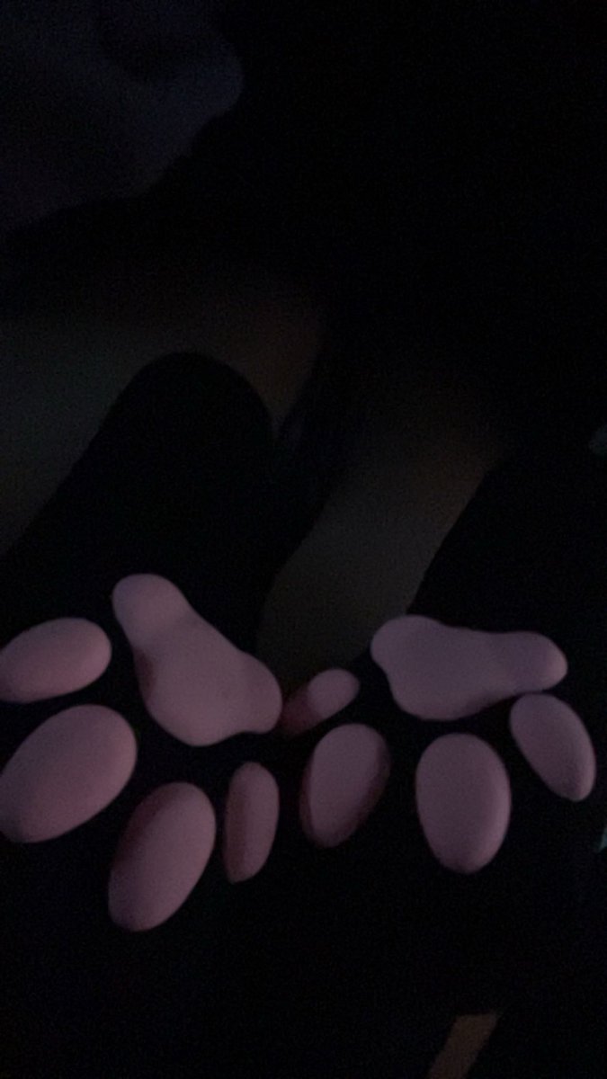 imasillygrl's tweet photo. 🐾🐾🐾 #pawsocks https://t.co/TFkuTbhk6V