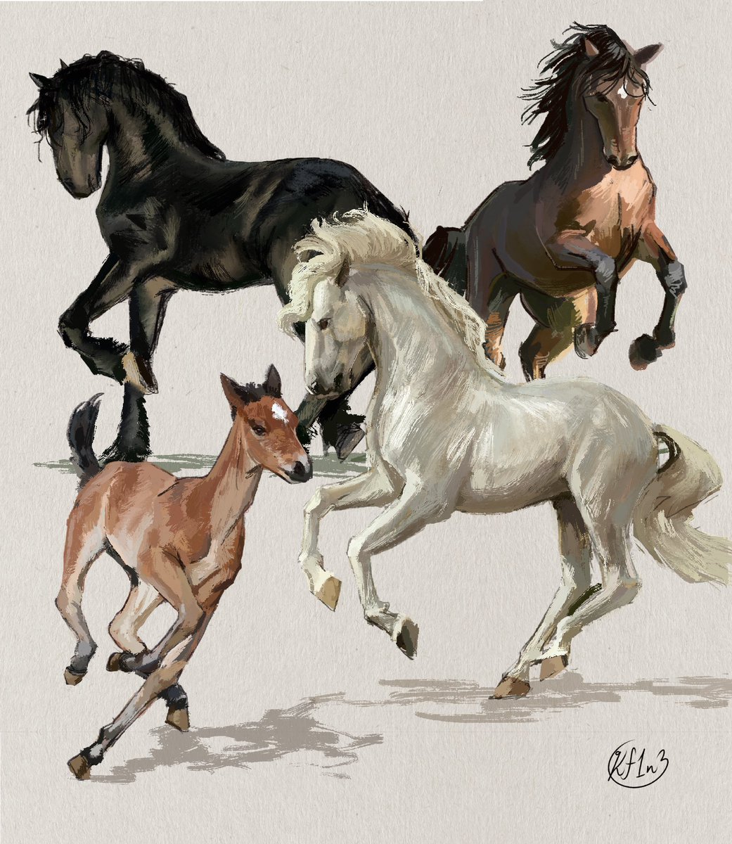 「A bunch of 1 hour horse studies I've don」|Kay 🐌🪴のイラスト