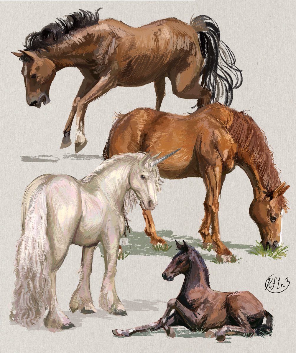 「A bunch of 1 hour horse studies I've don」|Kay 🐌🪴のイラスト