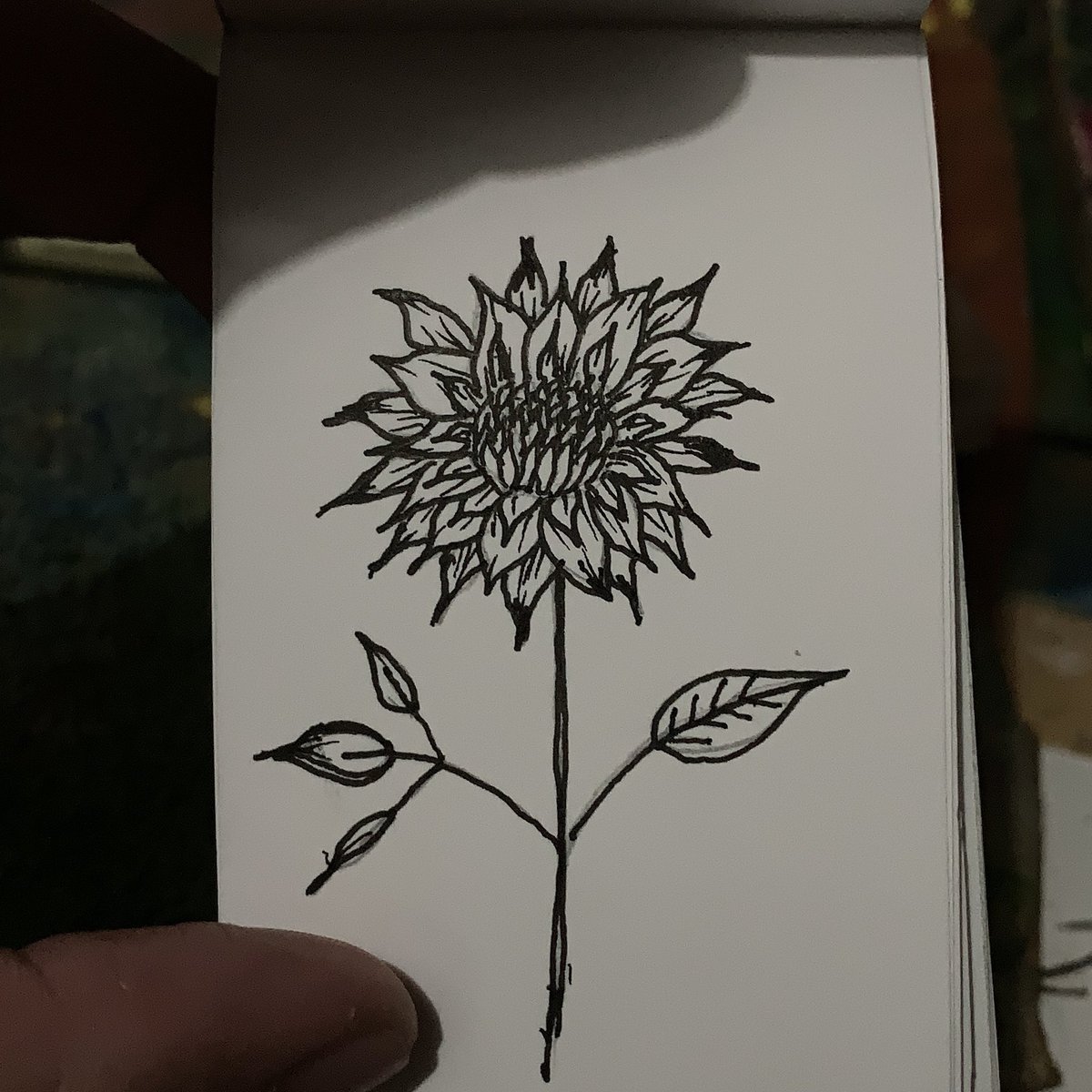 ethanjohn0416's tweet photo. Bloom and Wither. #art #artist #artwork #sketch #sketching #wipartwork #sketchart #fyp https://t.co/Hi468HXLIp