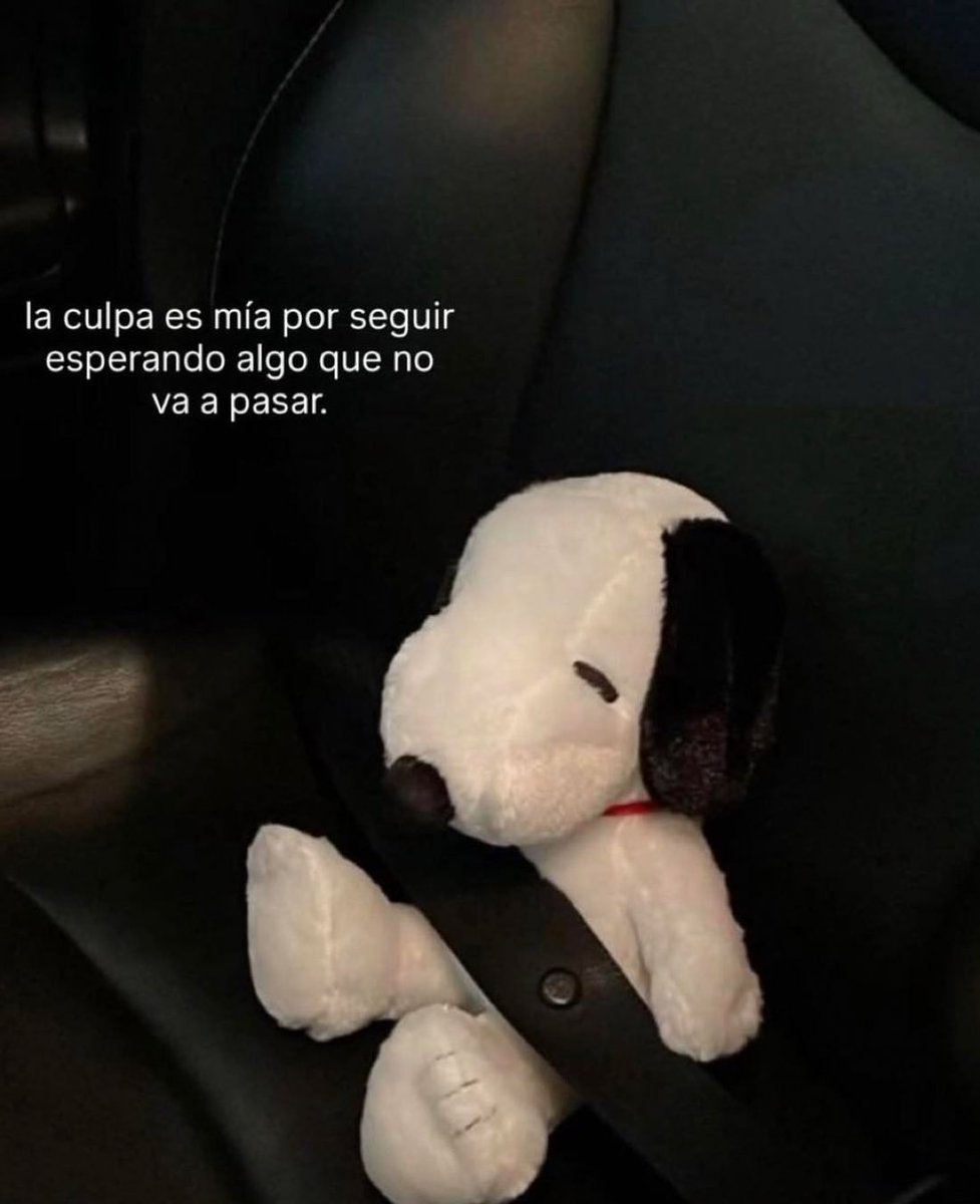 FraseSimple's tweet photo. https://t.co/bWS5gXnF0W