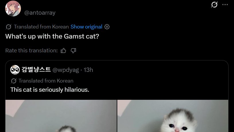 saisons903's tweet photo. NEW MEME CAT DROPPED!

This cat is getting memed hard rn.

400k+ impressions in the past 12hrs.

People have even given it a name "감스트/Gamst" since it looks identical to one of the biggest Korean streamers. Just check the quotes.

Reminds me of POPCAT, could run off the the image alone bc it's so memeable.