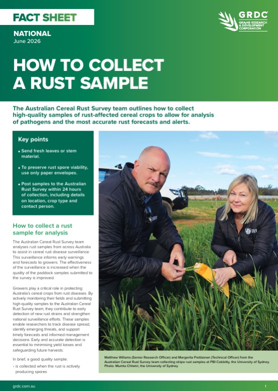 theGRDC's tweet photo. This fact sheet shows growers how to collect and send rust samples in cereal crops ▶️ https://t.co/HSwb2GDZ6g 

Assessed samples show which rust strain is present, which helps to manage and reduce impact.

Key points
1️⃣ Send fresh leaves or stem material.
2️⃣ To preserve rust spore viability, use only paper envelopes.
3️⃣ Post samples to the Australian Rust Survey within 24 hours of collection, including details on location, crop type and contact person.

#GRDCFactSheet #CerealRust #RustSample #CropDisease