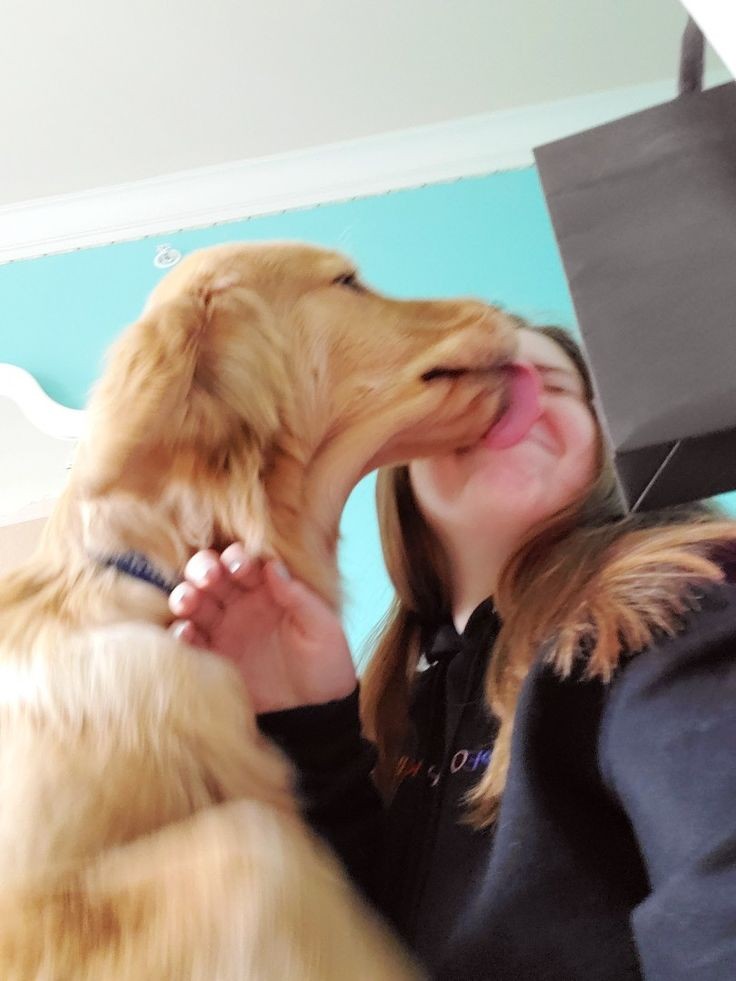 frankakinks's tweet photo. Therapy? Nah. I talk to my dog at midnight and feel fixed 😌
Realest connection ever. Late night crew, assemble!
https://t.co/gnc1oJbUcJ
Join now...
#dogs #AUSummit2026 #dogwhore https://t.co/FgYnMsmcsN