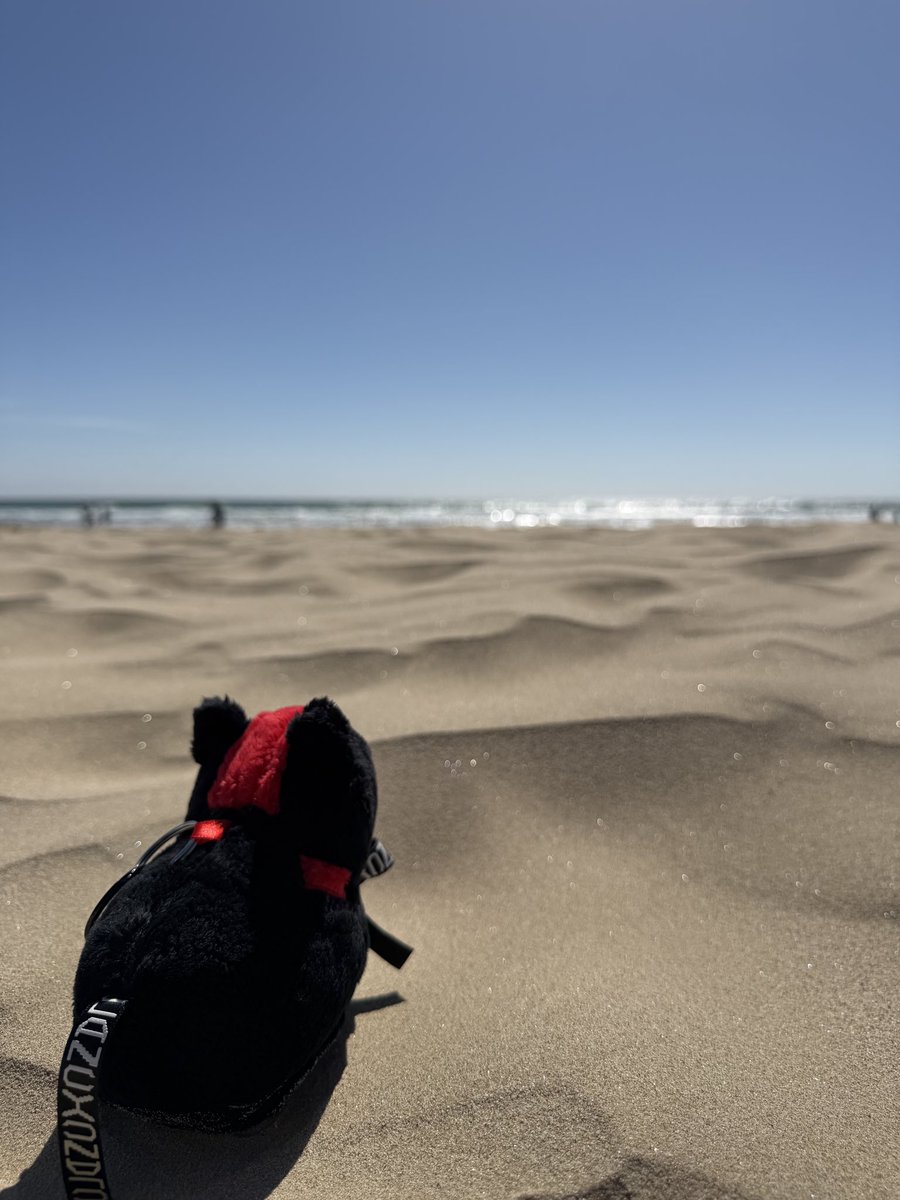 thetwilightfilm's tweet photo. summer time at the beach with #cloaf https://t.co/E48IvbnEKy