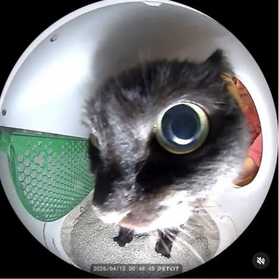 beebob2000's tweet photo. #NewProfilePic https://t.co/AM474xVDAT