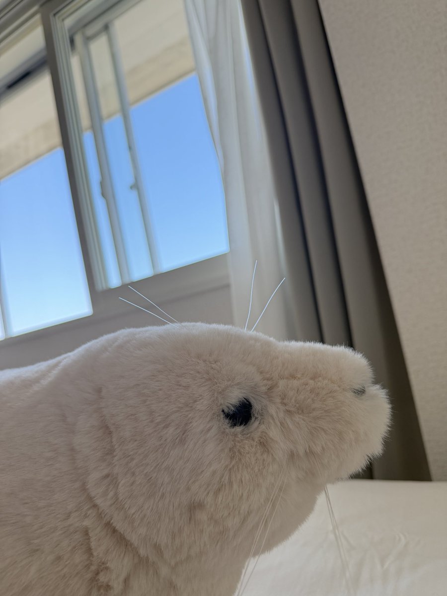 Akiko_FunLife's tweet photo. おはようございます。
ダンボールだらけの部屋ですが寝る場所だけは確保。青空綺麗😍 https://t.co/tWTHz0T1ZA