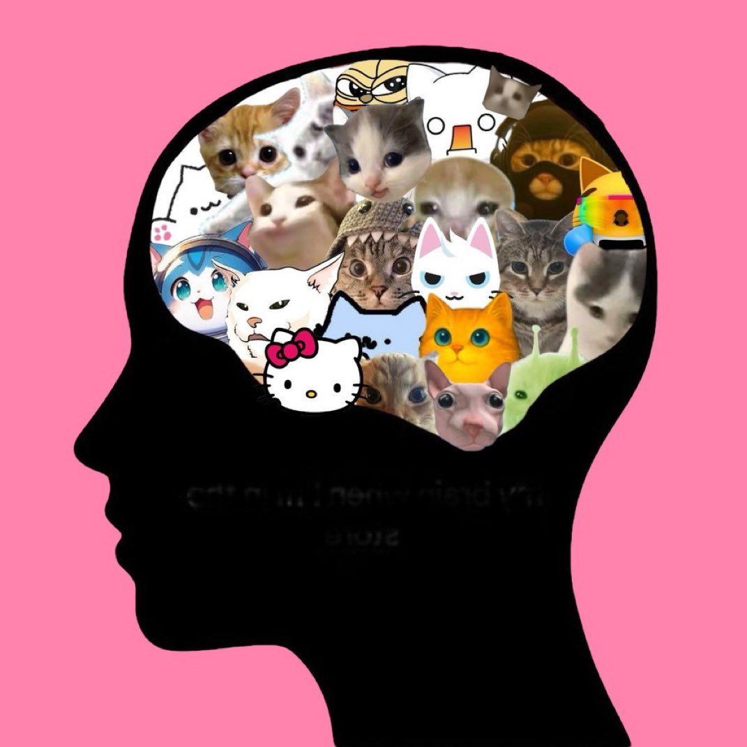 Hosico_on_sol's tweet photo. THE CAT SUPERCYCLE IS ON @solana ✨ https://t.co/lMuc3vwrpK