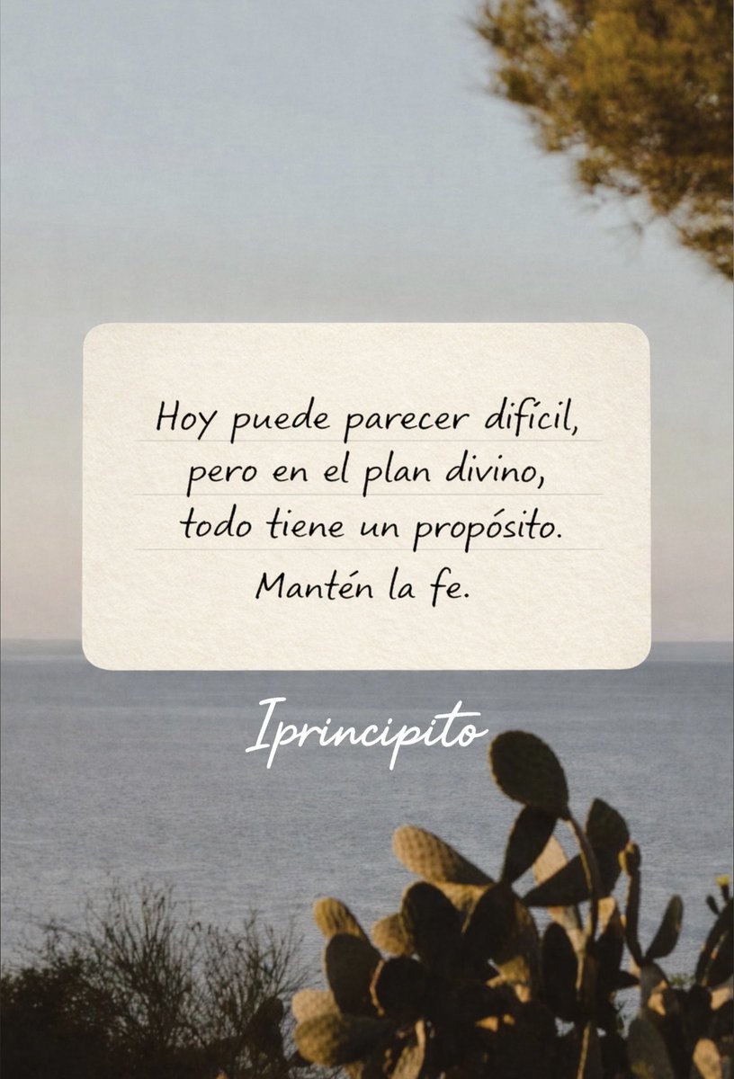 iPrincipito's tweet photo. ✨📩 https://t.co/0ZtUUYDIIM