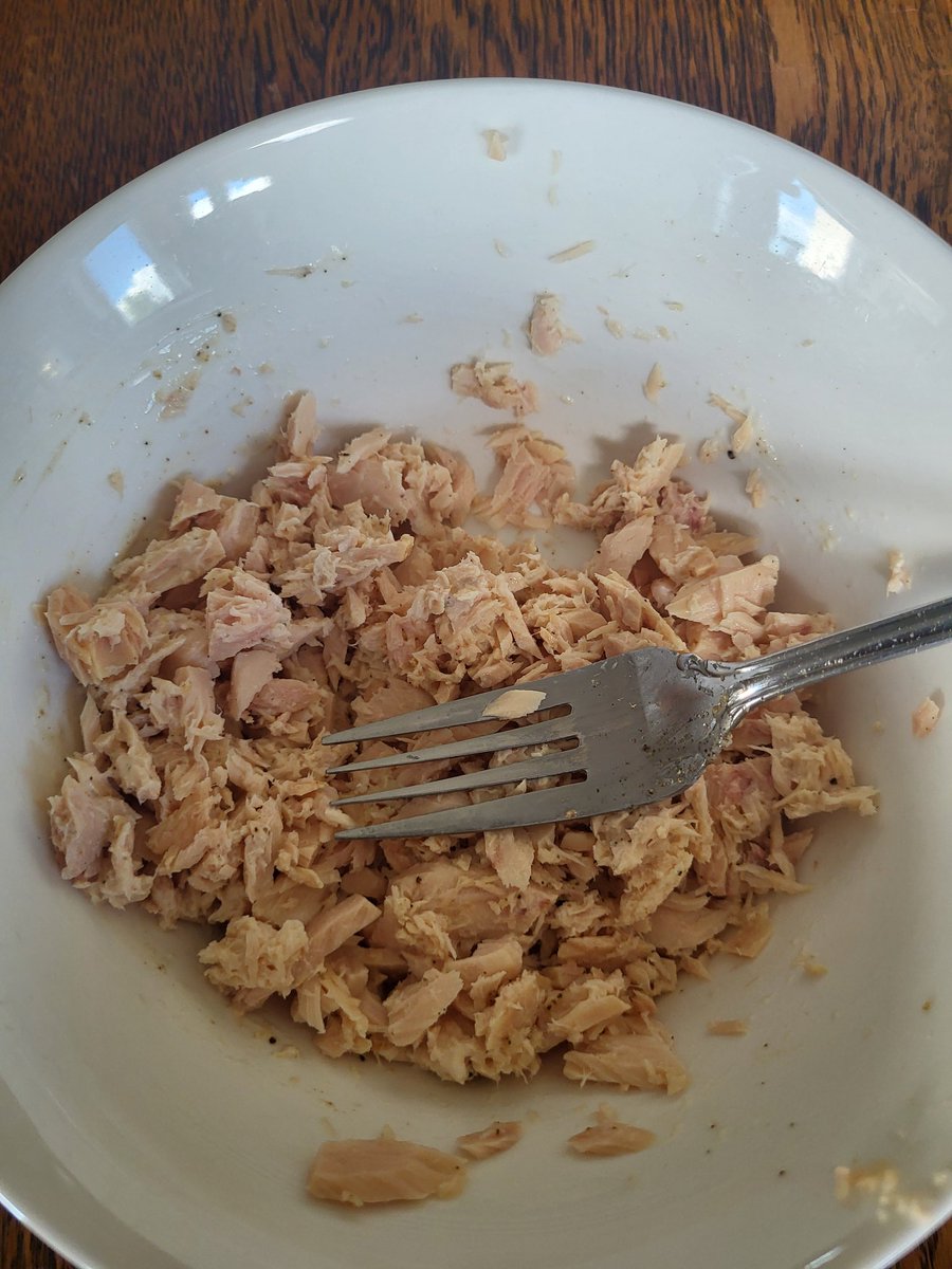 Cricket0___0's tweet photo. Boring ahh tuna and mayo i had to break my fast (tasted better than it looks). 150cal but lowkey not worth cause my brain told me there were parasites so I couldn't finish it #edtwt https://t.co/b1EAh60Wxi