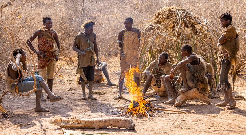 DaRealGoy69's tweet photo. How do they pretend they built society, when this picture was taken in Africa a year ago.. Them being brought to the USA was the best thing that could’ve ever happened to them, but they still complain and want money for work they didn’t even do. https://t.co/DzG3X9FXom