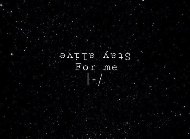 bru̷ ✦ tweet media