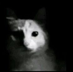 FlormpWompler's tweet photo. @HuneeBruh Gerson mains when the Tree player walks in https://t.co/uWCdPuZSsf