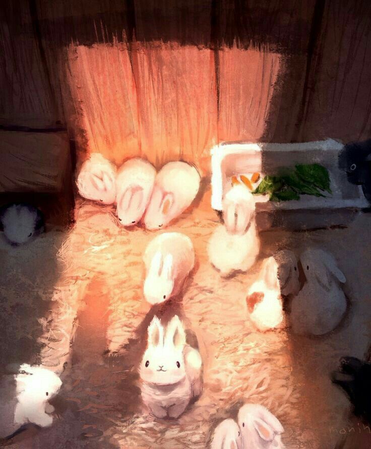 WHY YOU SHOULD HAVE A BUNNIES tweet media