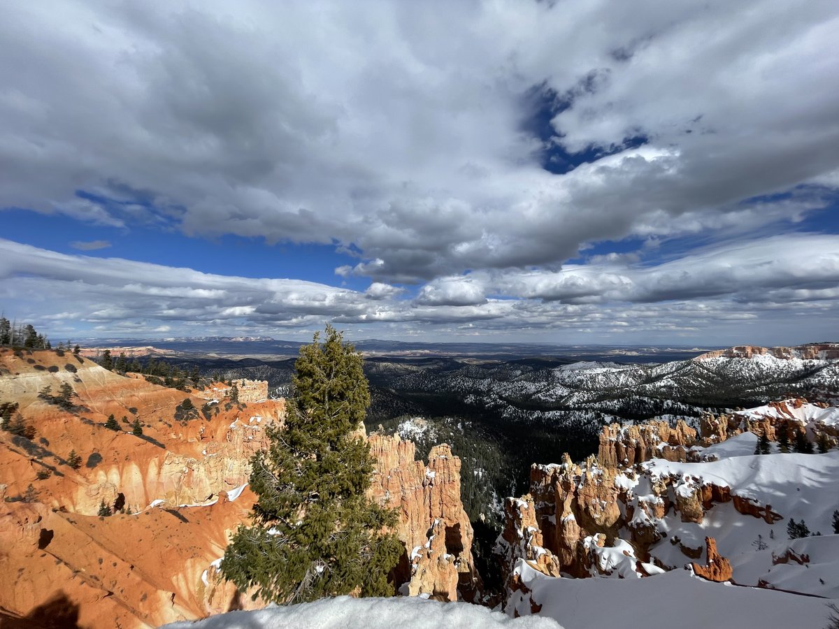 ST_Amato1's tweet photo. Happy 250th Birthday America!  Bryce Canyon, UT https://t.co/iGQEN1Em1g