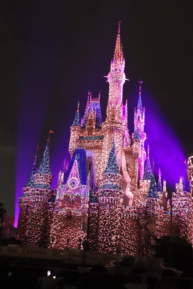 りっちゃん🏰 (@Disney_rittyan) / Posts / X