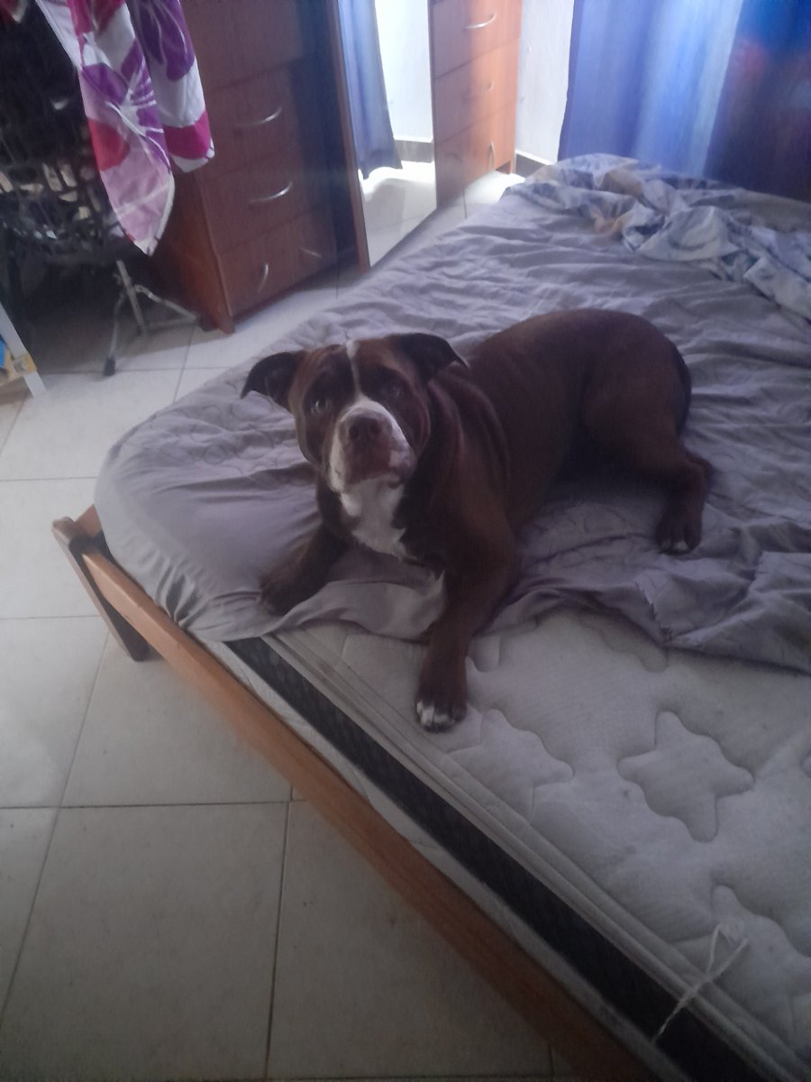 MrSprinterGMD's tweet photo. Cabo Verde le empato a Argentina...

Gracias por todo Vozinha, perdón por no haberte conocido antes 😭 https://t.co/TJemTbNAoP