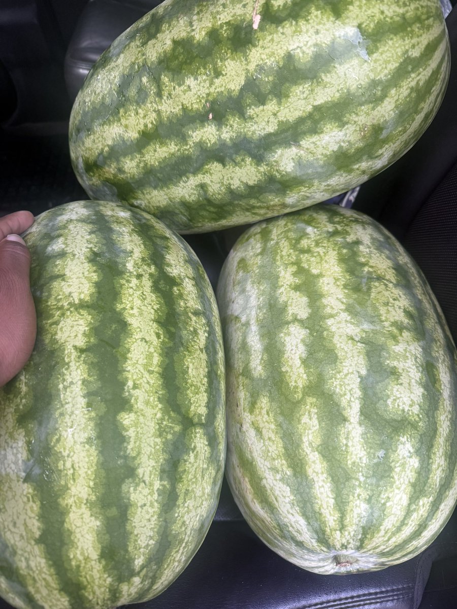 PeepGame_T's tweet photo. finally found yall asses! #jubilee  #positivegains https://t.co/6edviSDvV3