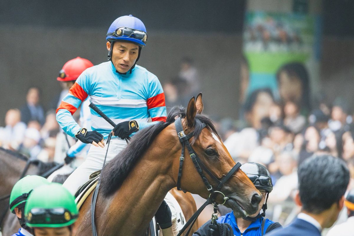 kawagoefa's tweet photo. 先週のラブリーガールは、3着と頑張ってくれました。控える競馬で、最速の上がりで最後は良い脚でよく追い込んでくれました。この競馬が板につけば、今後も楽しみです。 https://t.co/h4TXehJj30