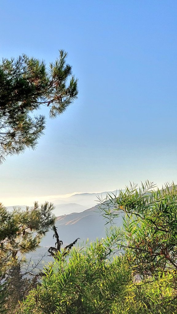 LaithMMj's tweet photo. فليسَ مِن شأنِ الدُّنيا أن تؤتي، وإن آتت فليسَ من أخلاقها أن تَصفو، وإن صفت فليسَ من طبعِها أن تدُوم.
- أبو حيّان التوحيديّ https://t.co/1E3jJFpTXr