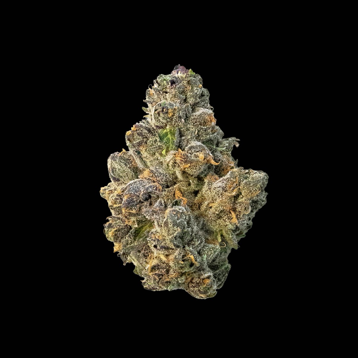 DogHouse_MI's tweet photo. Did someone say tangy? 

Sweet citrus and sour earth come together for a rich sensory experience with Pink Passion. Floral notes, lemony freshness, and a hint of kush round it out. This hybrid delivers a balanced, creative high that just feels right.

Drop a nug shot if you're smoking with us today, and check out Pink Passion at https://t.co/DTsf78185g
