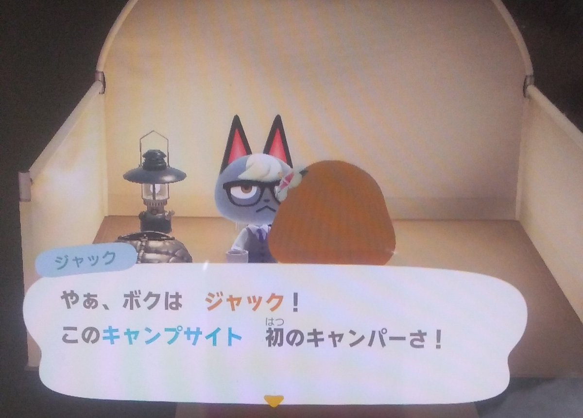 comilu0620's tweet photo. 放置してたサブ島を昨日からやり始めたんだけど、キャンプサイトにジャックくん😺が来てくれてビックリ😲✨✨
メイン島にはまだ呼んでなかったからめっちゃ嬉しすぎる😍💗
2枚目は今の住民さんたち💕可愛い子ばかりで嬉しいな❤

#あつ森 https://t.co/g5sCmuDUlD
