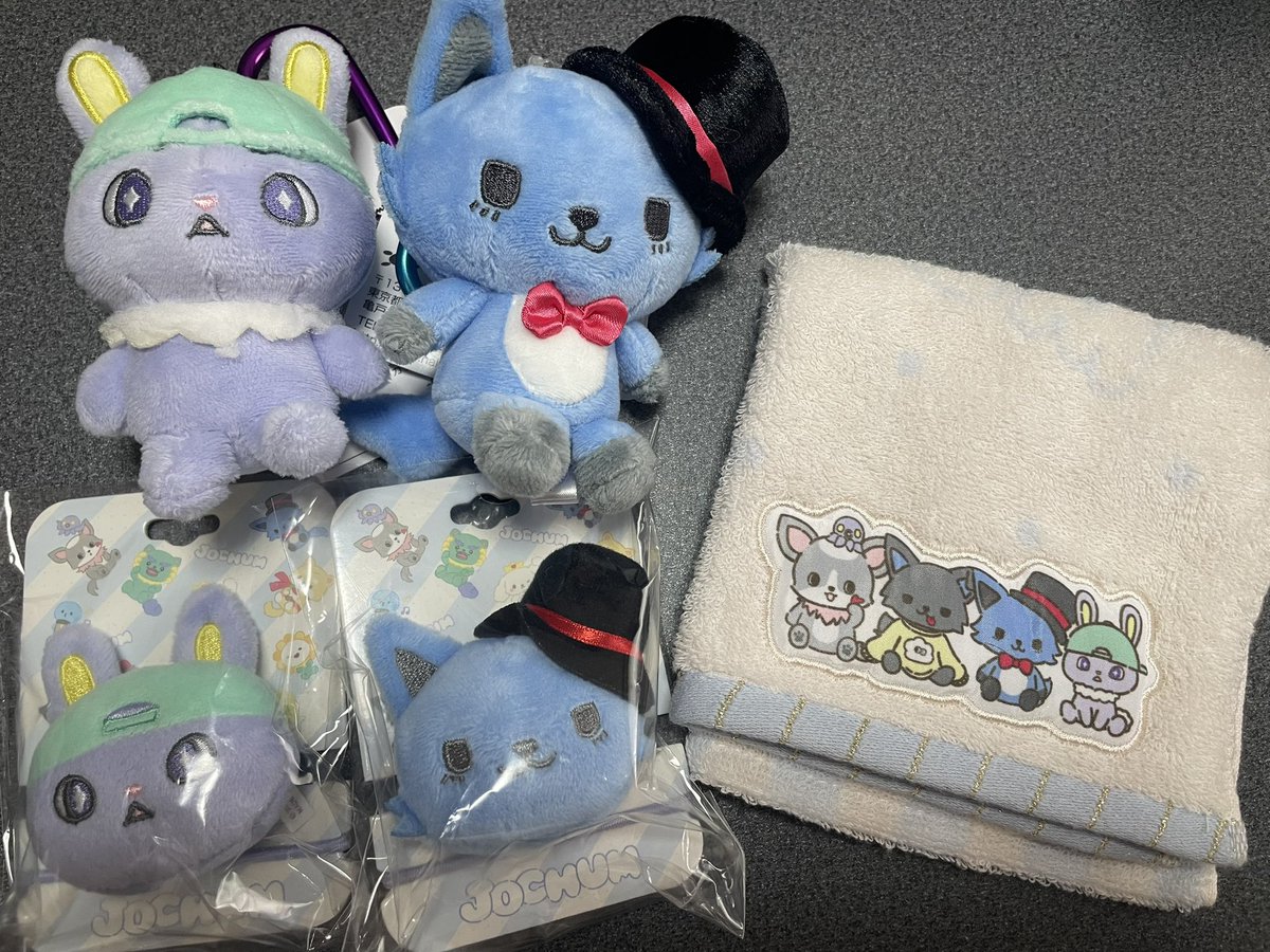 Chocomint116's tweet photo. ロフトの再入荷行って来た！
着いたのが10時過ぎてたけど、
誰も居なくてゆったり購入出来た✨
欲しかったカラビナぬいもお顔も選べて幸せ〜🩷
jochumグッズめちゃくちゃ増えてきたけど可愛いからつい買ってしまう💸
#JOCHUM https://t.co/7GUaI7HEQQ