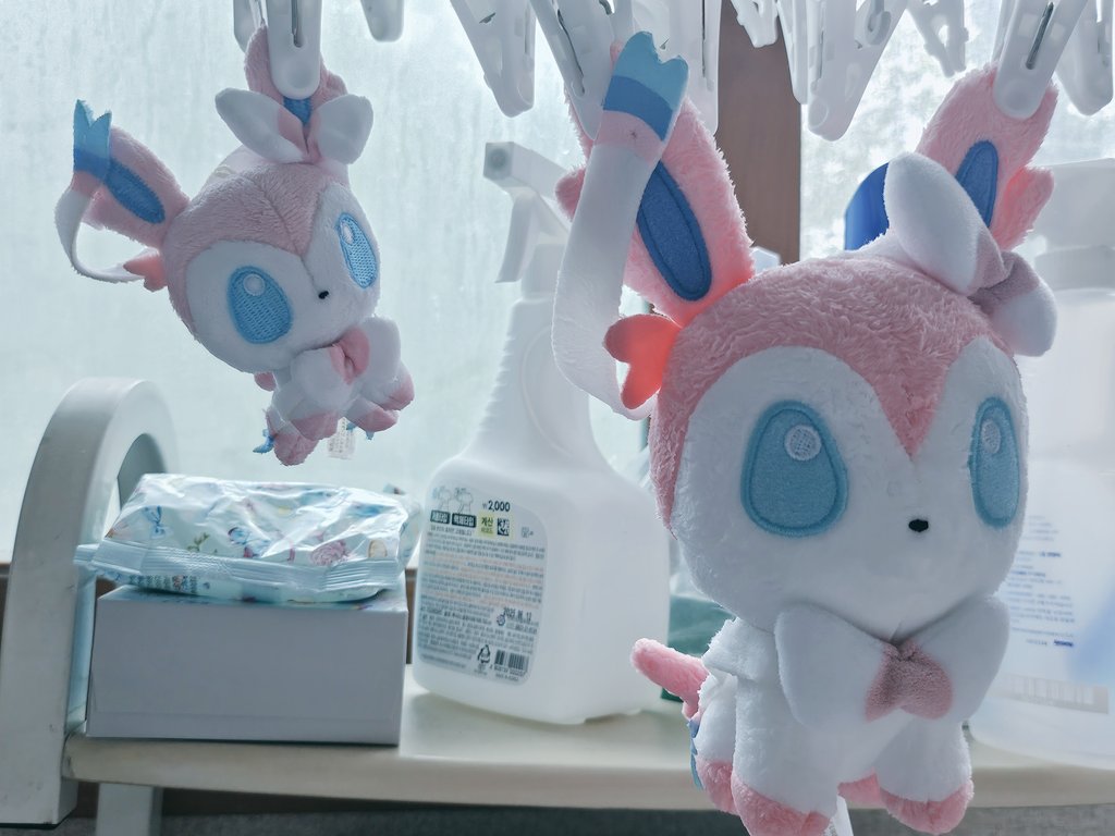 In_Blanket_'s tweet photo. 근데 좀 꼬질해서 그만............. https://t.co/9WpZnPPbXM