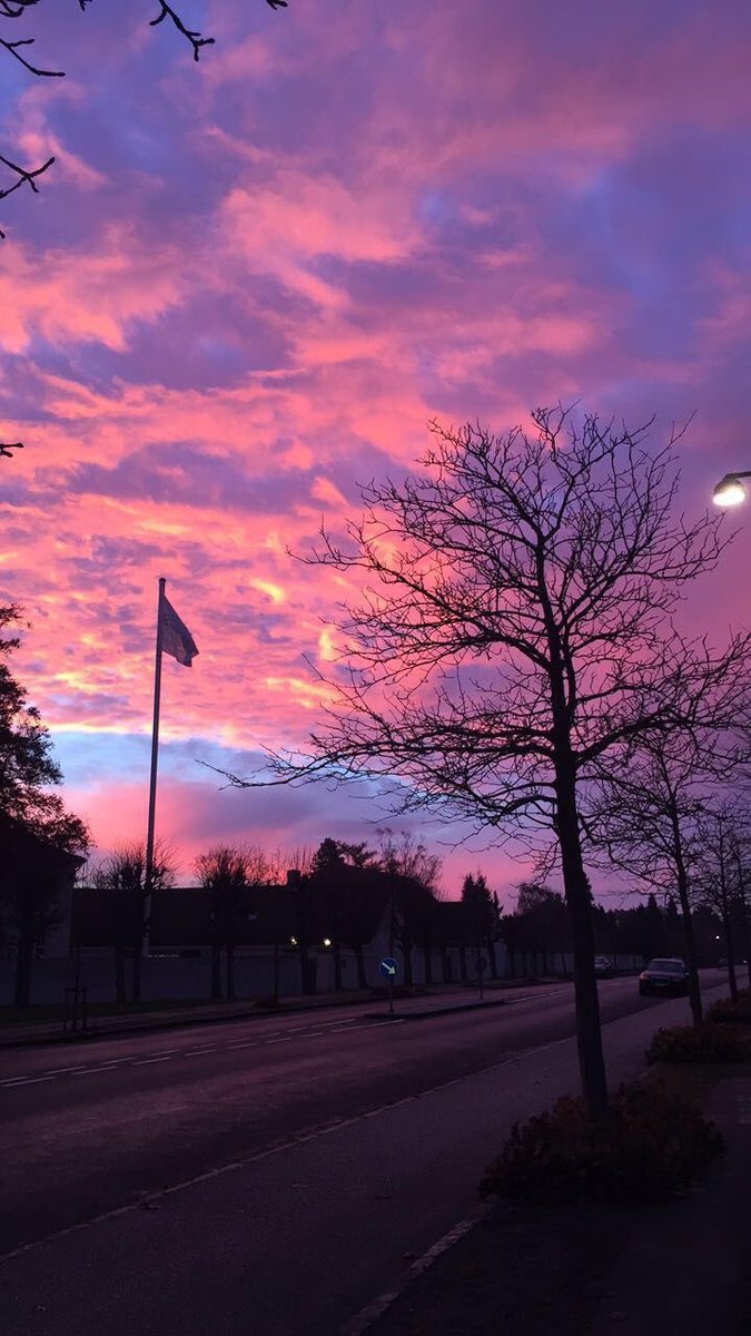 _Naturaee's tweet photo. cotton candy skies https://t.co/eJB3TXCpUZ