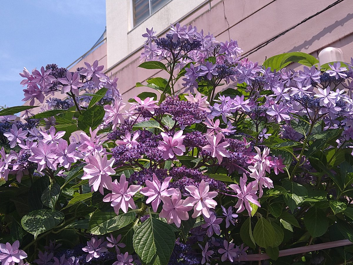 elestrellaAzul's tweet photo. 何ごとも一つひとつの積み重ね。そして今日という日は通過点。人生は続く https://t.co/YDUXoRpB11