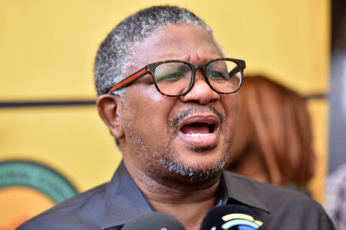 Shikwambanaman1's tweet photo. The EFF Gauteng took it upon themselves to go to the airport to welcome Bafana Bafana and players recognised and acknowledged them, then people are screaming and this loudhailer joins the chorus…..  The people you elect in position of responsibility are an embarrassment… https://t.co/PUJhVW7CWS
