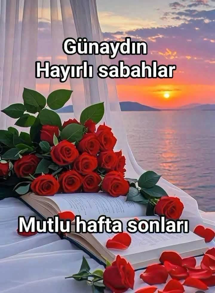 afif341's tweet photo. Günaydın 
Hayırlı sabahlar https://t.co/xXuU6Apcti