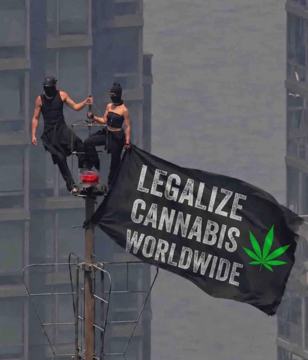 AaronKeefer420's tweet photo. Free the plant worldwide ☘️💚 https://t.co/bcr8GU8J0X
