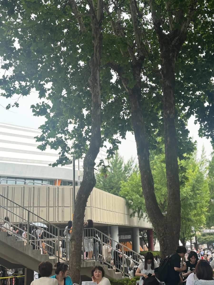 wooseokfiles's tweet photo. reminder for all ttes attending the secret library in seoul today!

with around 11,000 fans expected at jamsil indoor stadium, please take care of yourselves, stay hydrated, keep an eye on your belongings, and be mindful of those around you.

most importantly, have the best time with byeon wooseok and enjoy every moment of the fan meeting. cheer your hearts out, make lots of beautiful memories, and get home safely. we can’t wait to see all your photos and stories afterwards. have fun!

©️myyoeny_bws_