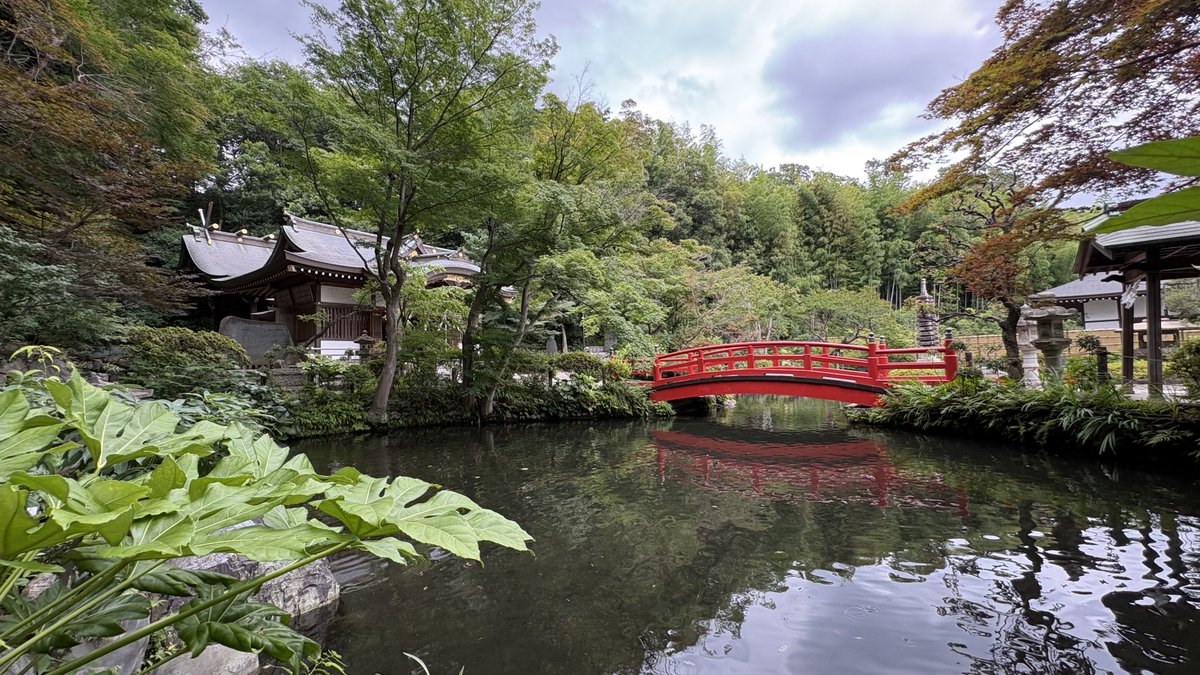 dumbheadDS's tweet photo. 貫井神社、良き https://t.co/78iHh3gUb1