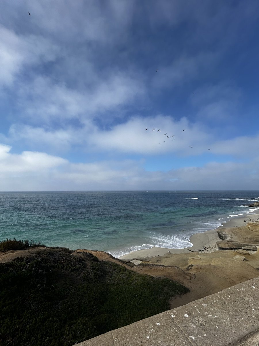 spacegirlsake's tweet photo. pay your taxes to the beautiful state of California and you’ll be reincarnated as a lotus flower or a lesbian with a lovely girlfriend who you can travel to the beach with regularly https://t.co/2Yx51vnYgP