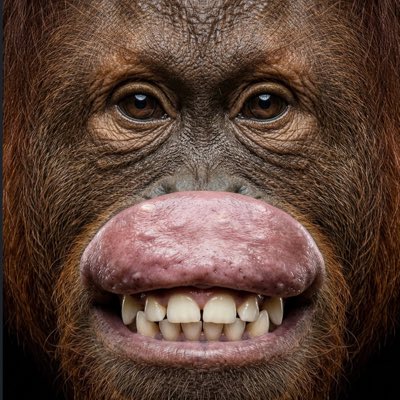 BoJackinOff's tweet photo. #NewProfilePic https://t.co/zVg0l3FxDt