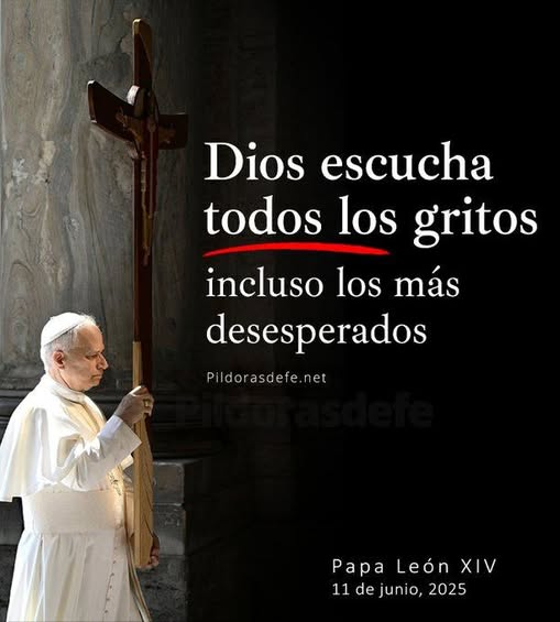 liderSanAlfonso's tweet photo. https://t.co/wee6ewxjm2