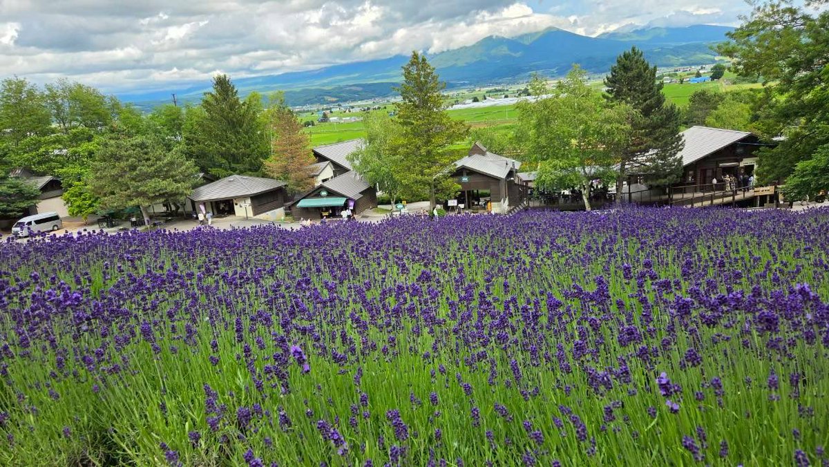 manamiso0719's tweet photo. 月末休みを利用して北海道へ。4日もあると思ったのにあっという間でもうまた行きたい😢台風や雨予報吹き飛ばし姉妹で神だった🙌 https://t.co/PwLUd1SHxw