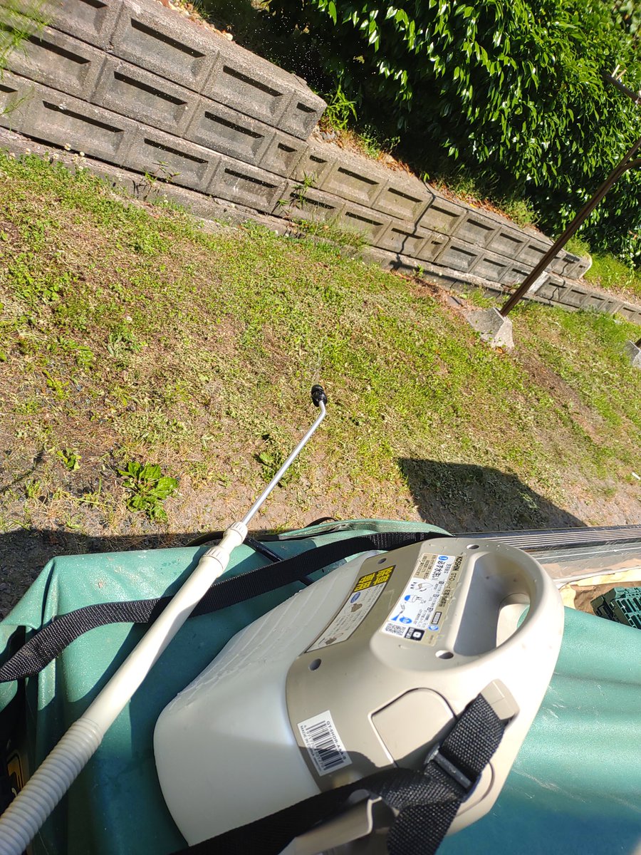 osLV3's tweet photo. 今日は草キラー🪓🕊️

草のタタリか腹が病んできたので撤収しますよ🤢 https://t.co/a6BstgI5QW