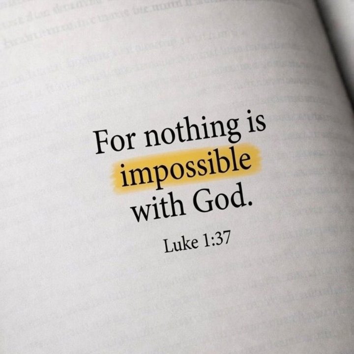 altinekasre1's tweet photo. “For nothing is impossible with God.”

Luke 1:37 https://t.co/TO5REF4406