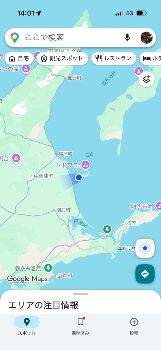 keis_pf's tweet photo. 海に浸かってます https://t.co/OvHtf6QJLd